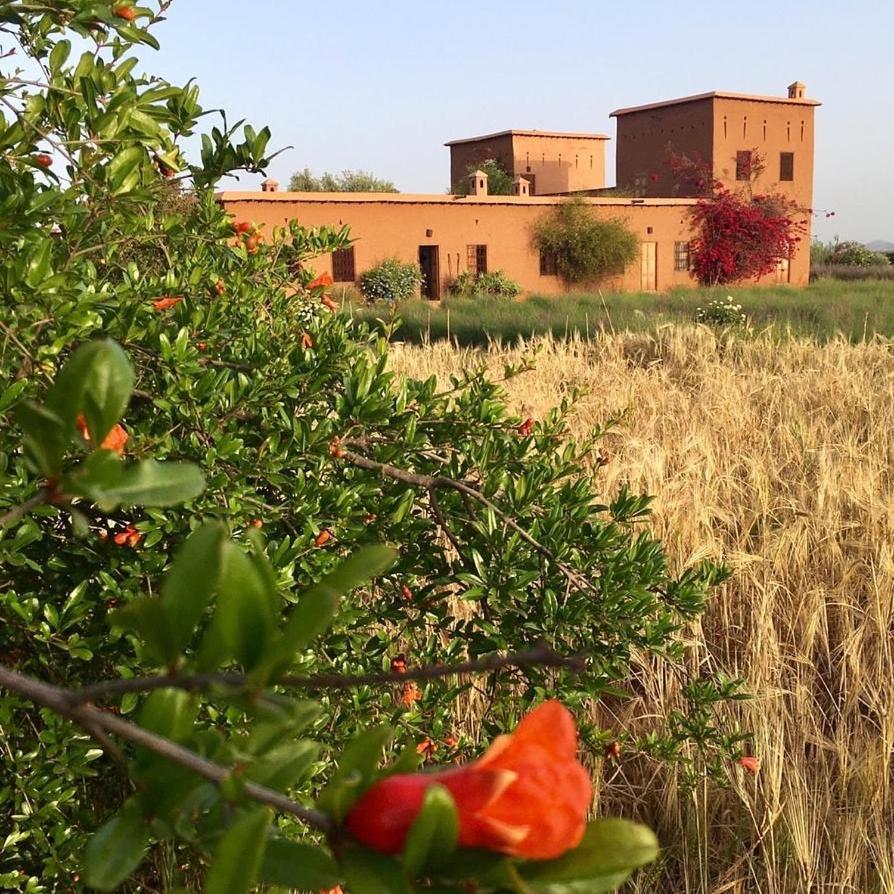 Dar Tasmayoun Aït Ourir Exterior foto
