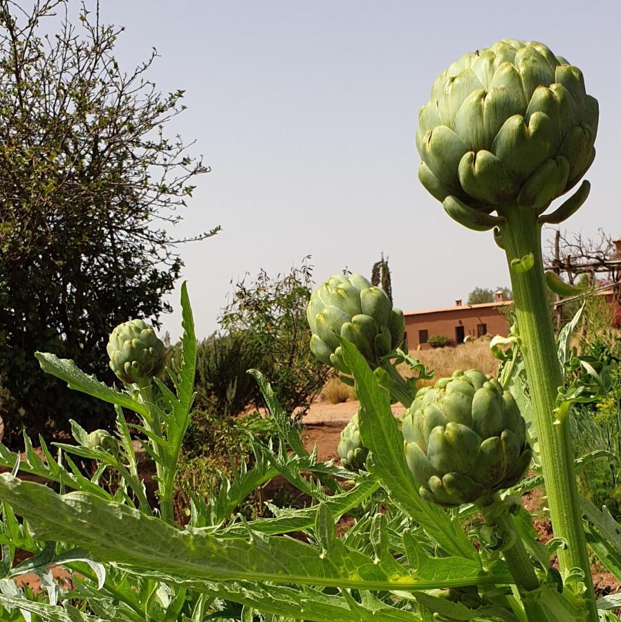 Dar Tasmayoun Aït Ourir Exterior foto